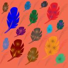Feathers