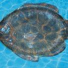 Glass Fish in Water Photo