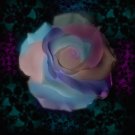 Glowing Rose
