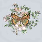 Vintage Butterfly Photo