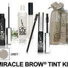 Lip Ink ® Grey Miracle Brow Tint/Liner Kit