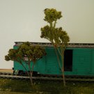 Small Trees