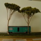 Large Trees