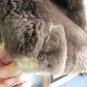 Vintage 3/4 Dark Brown and Beige Nutria / Coypu Fur and Wool Coat 39" Long