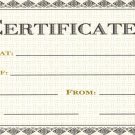 Gift Certificate ($100)