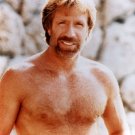 Chuck Norris "Facts"