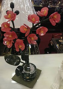 Jade orchid red plant