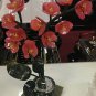 Jade orchid red plant