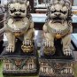 Resin Foo dog pair