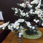 Jade Bonzai white flowers tree