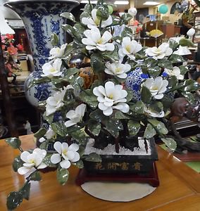 Jade Bonzai tree with stand