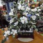 Jade Bonzai tree with stand