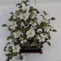 Jade Tree w/ White Stone Flowers W/ Stand / Leaves & Base are Solid Jade