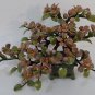 Jade Bonsai Tree with Dusty Rose Stone Flowers / Leaves & Base are Solid Jade