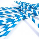 Blue and White Paper Straws - includes 24