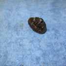 Starter Idle Gear Limiter Gear Kawasaki Bayou 220 250 1988- 2011