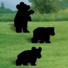 Bear Cubs Shadow
