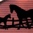 Horse & Colt Shadow