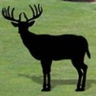 Standing Buck Shadow