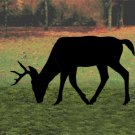 Action Feeding Deer Shadow