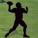 Quarterback Shadow