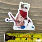 Cat Skiing Sticker Ski Decal 2" Small Salomon Rossi Blizzard Volkl PO