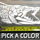 Musky Sticker Decal Muskie 5.5" Northern Pike Die Cut Hunter Fly Fishing XO