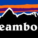 Steamboat Sticker Decal Colorado Springs Mountain Ski Snowboard Mountain Vail PO