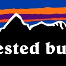 Crested Butte Sticker Decal Colorado Ski 3" Wide Mountain Snowboard Sunset PO