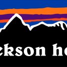 Jackson Hole Sticker Decal Ski Snowboard 3"  Wide Wyoming Grand Teton National Park PO