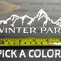 Winter Park Sticker Decal Mountain Ski 5.5" Die Cut Snowboard Colorado XO