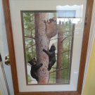 Ray Harm print. No 467 of 2000. Black bear cubs. With papers