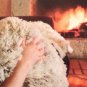 Reversible blanket twin/full