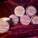 Lava Lotion Massage Oil Candle Cucumber Spice