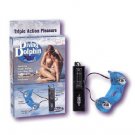 Divin' Dolphin
