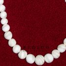 Troca Shells Graduated Beads Bracelets