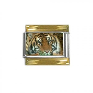 9mm Stainless Steel Italian Charm with Gold Trim