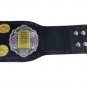 IWGP Silver Plates JR Heavyweight Championship Belt
