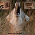 Coyote Hunting Call Cd 19 Predator Calls