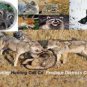 Predator Distress-Hunting Game Call Cd-'Plays In Any Cd Player"-Turn On Hunt