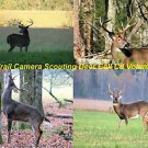 Game Camera-Cuddeback-Primos-Wild Game-Stealth Cam- Deer Calling Cd Volume 2