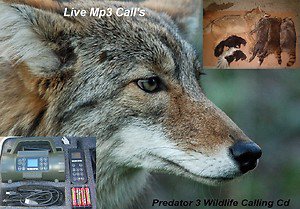 Electronic Game Call Cd Predator 3 Western Rivers-Primos-Wild Game Call Sounds