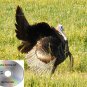 Turkey Call Big Tom Mojo Primos E caller Chase Pursuit Many More