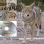 Coyote Call Predator 1 mojo Double trouble Primos E caller Many More