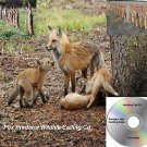 Fox Call Cd Hunting Calls Plays In Any Cd Player