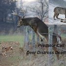 Predator Call Deer Distress Works On Mojo Double Trouble Primos E caller Many More