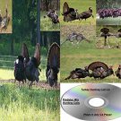 Turkey Call Hunting Calls Works On Primos E caller Double Trouble Mojo Many More
