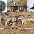 Predator Hunting Call Cd 'Wild Turkey Distress Call'