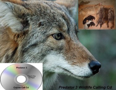 Coyote Call Predator 3 Works On Goose Getter Western Rivers Primos Many More