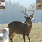 Deer Call Volume 1 Hunting Calls Works On Mojo Double Trouble Primos E caller Many More